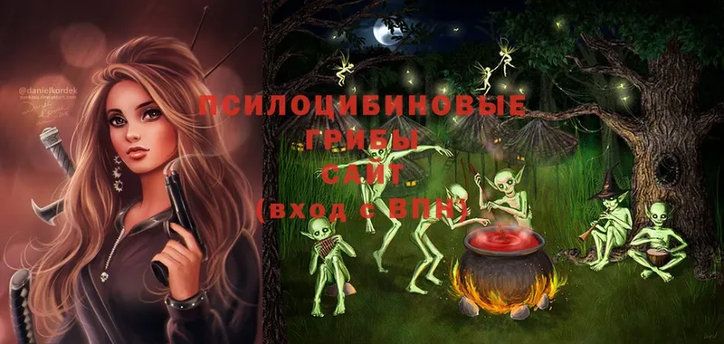 Псилоцибиновые грибы Magic Shrooms  гидра маркетплейс  Карабаш 